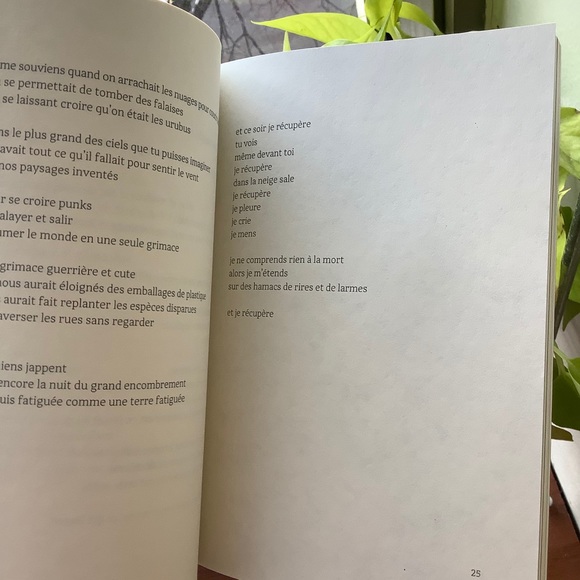 Collective poetry book (fr) - poésie en français - Picture 11 of 11